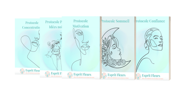 Le programme complet Stop Acouphènes