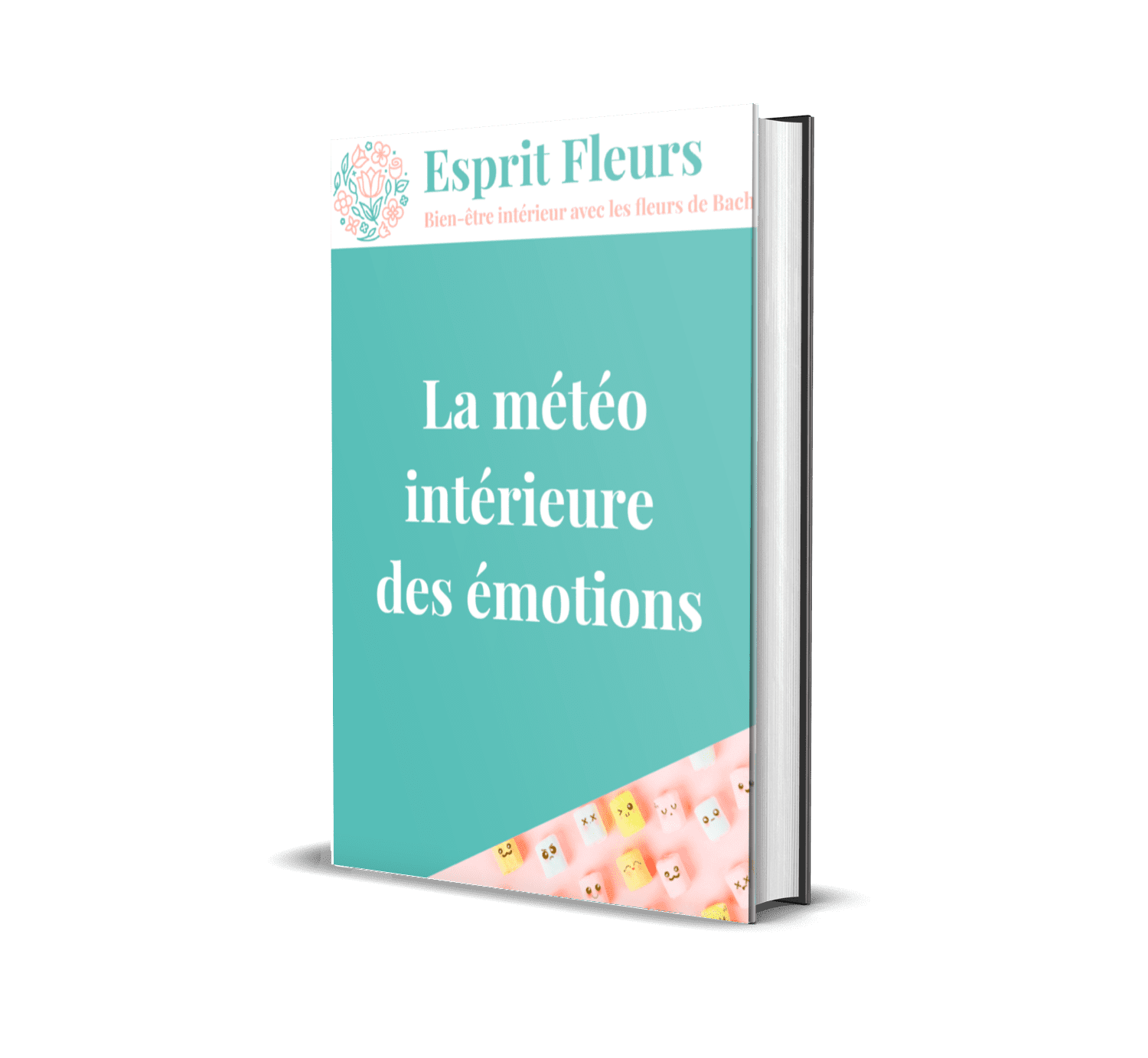 Le programme complet Stop Acouphènes