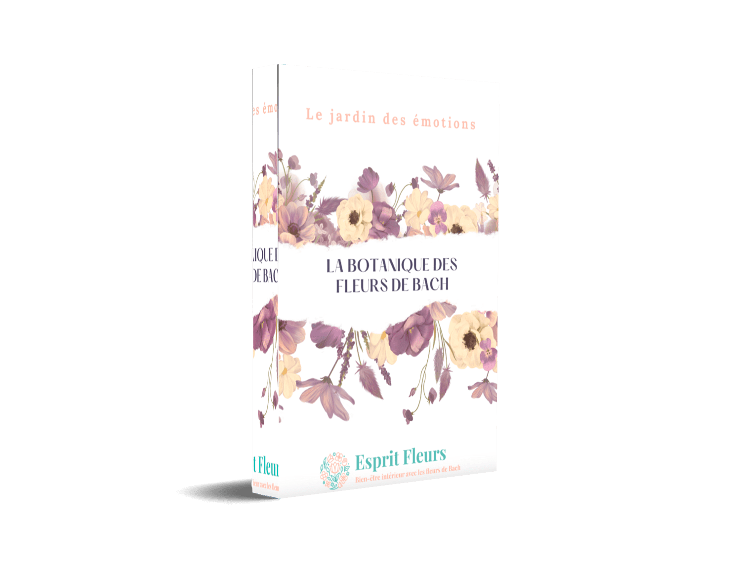 Cadeau Météo Interieur